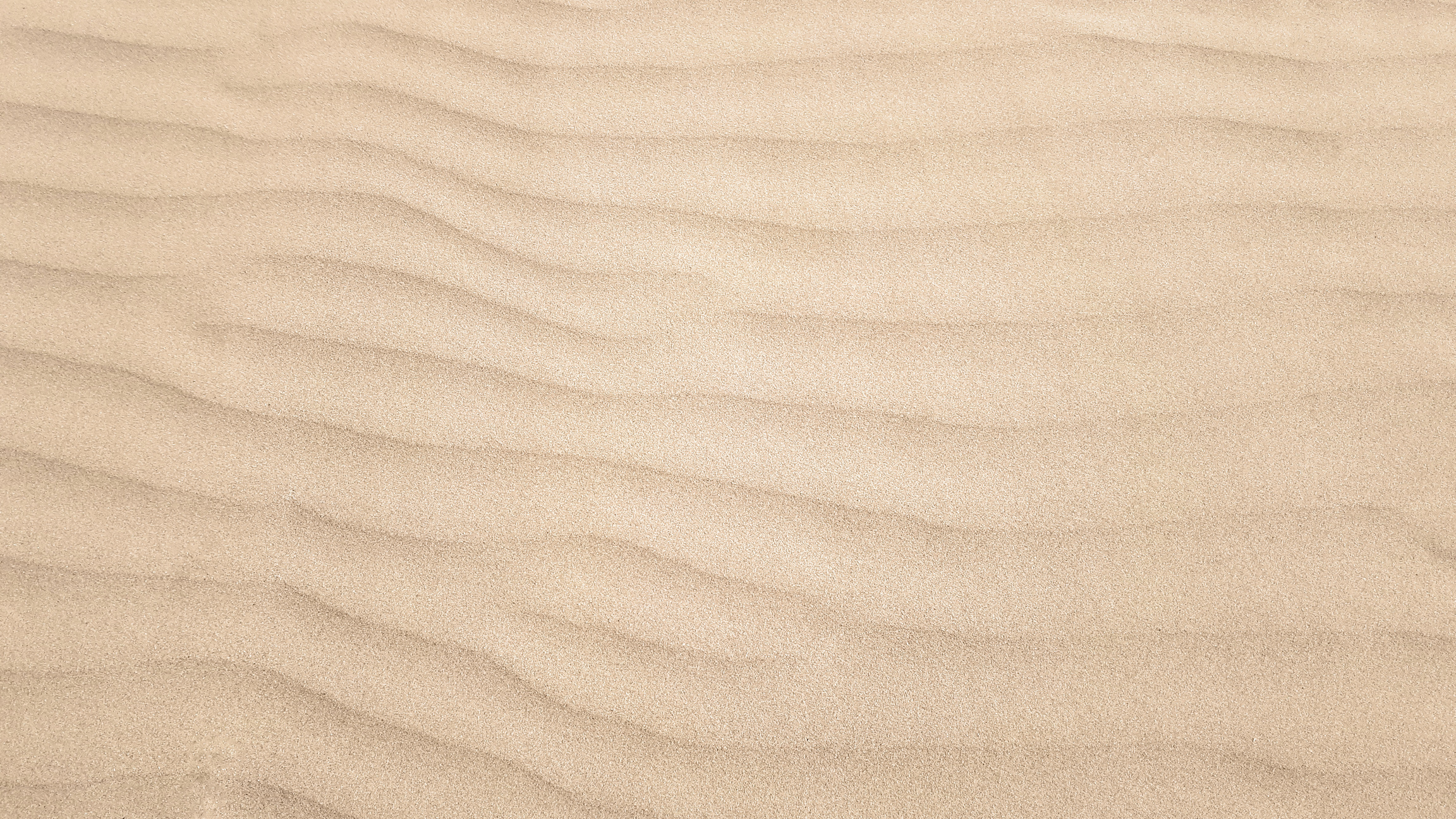 Sand Dune Ripples
